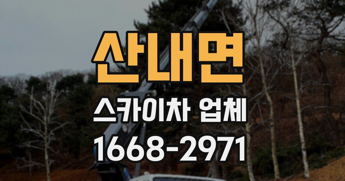 산내면 스카이차 업체