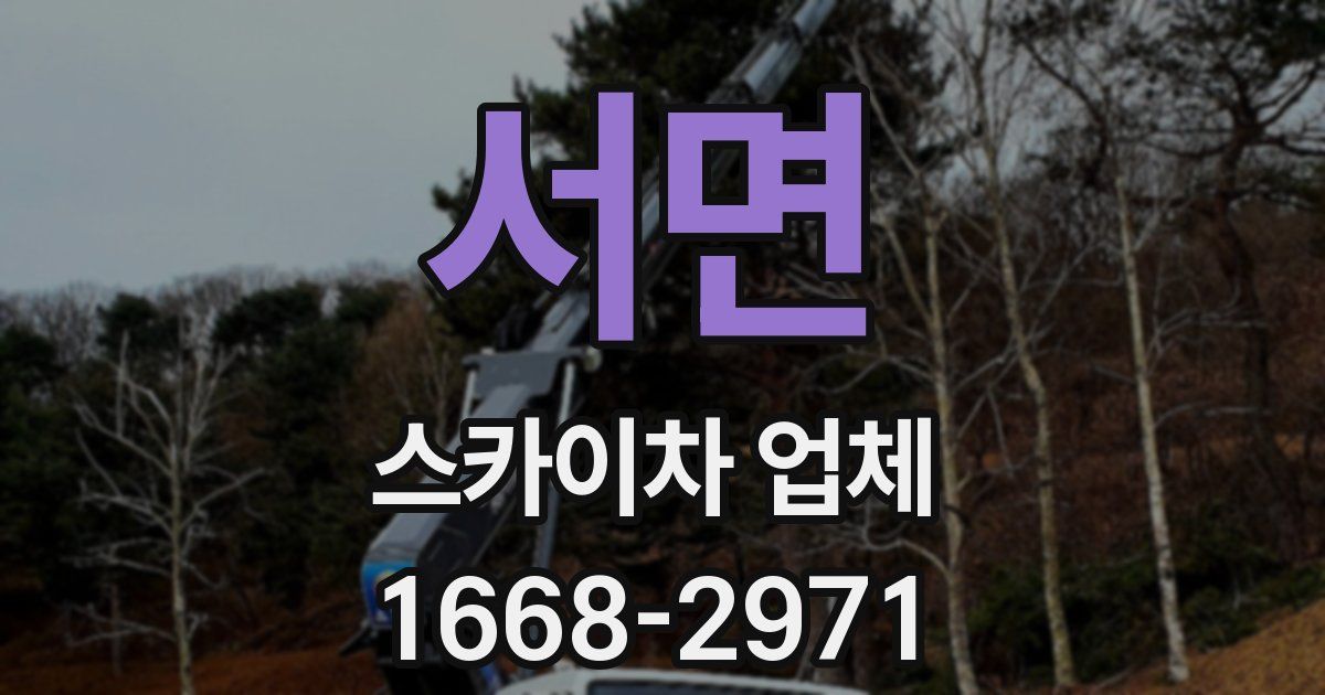 서면 스카이차 업체