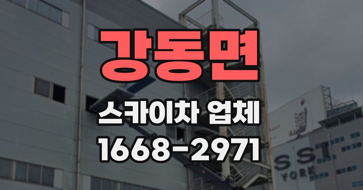 강동면 스카이차 업체
