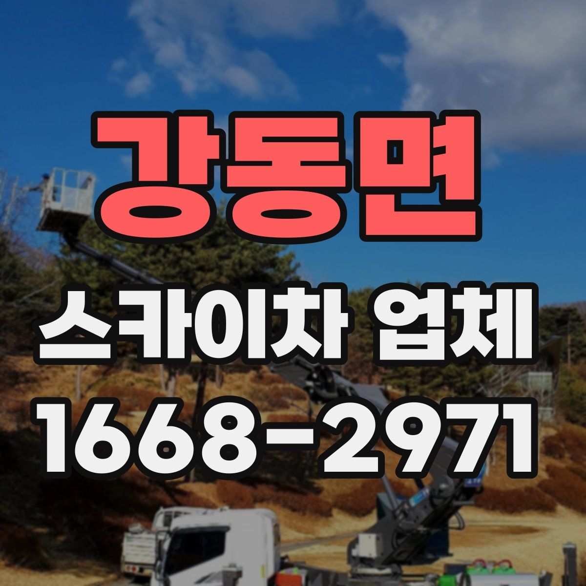 강동면 스카이차 업체