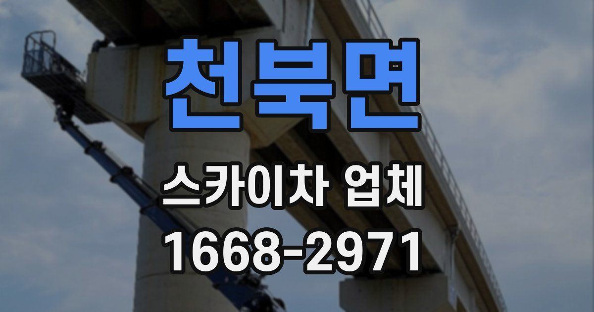 천북면 스카이차 업체