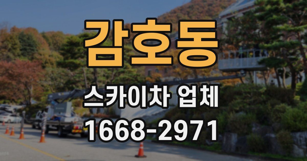 감호동 스카이차 업체