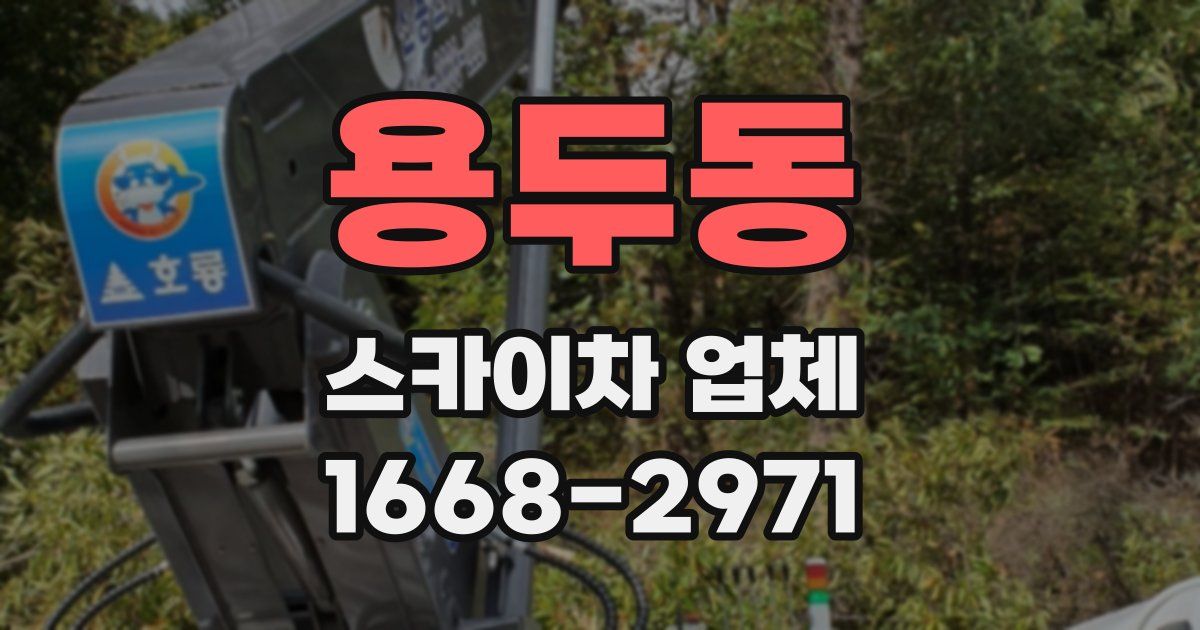 용두동 스카이차 업체