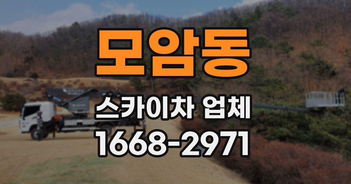 모암동 스카이차 업체
