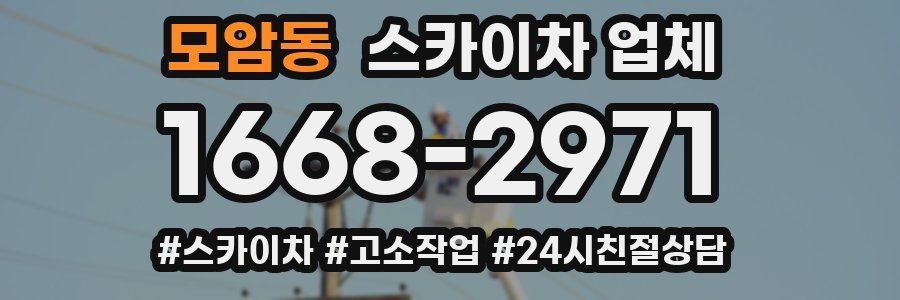모암동 스카이차 업체