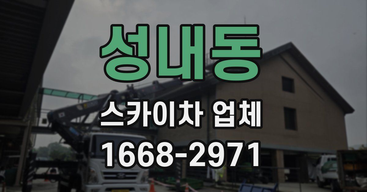 성내동 스카이차 업체