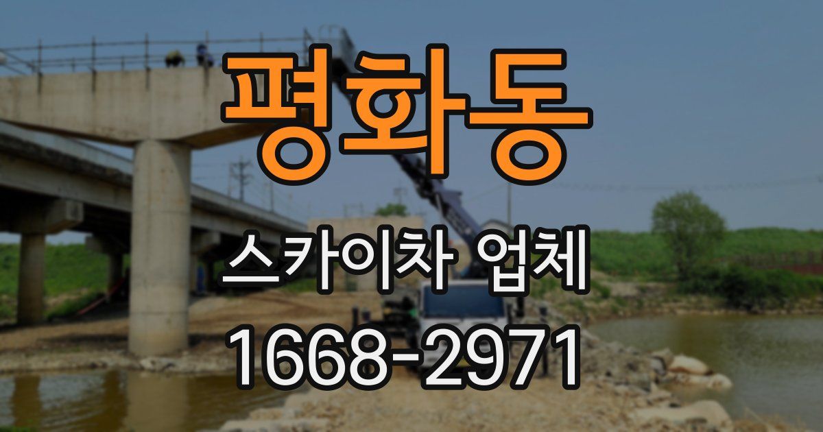 평화동 스카이차 업체