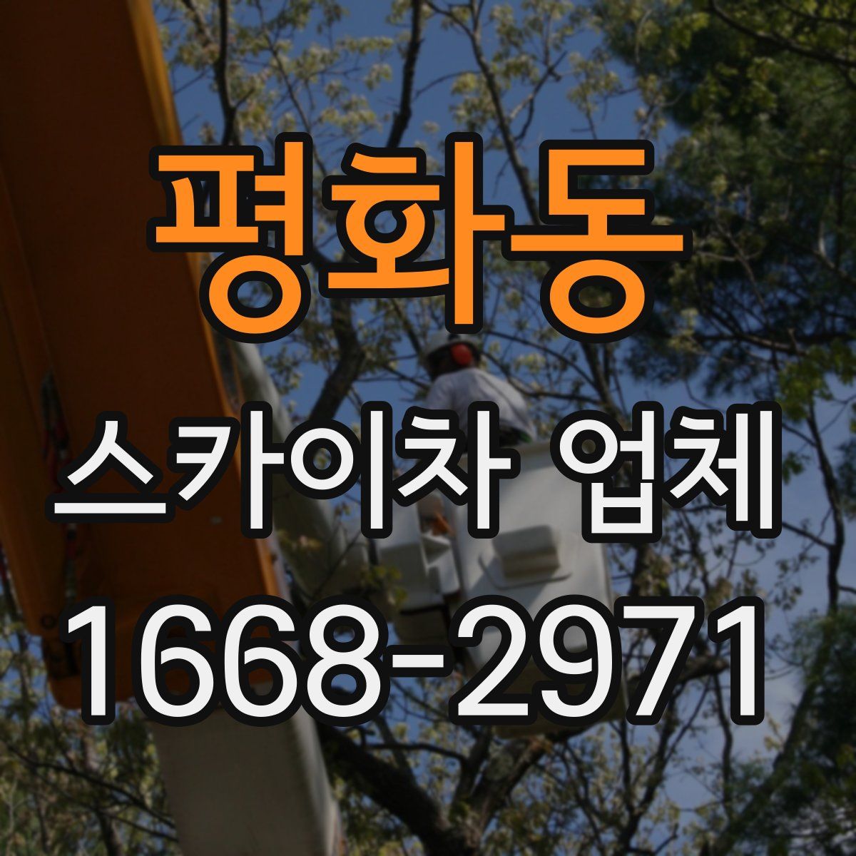 평화동 스카이차 업체