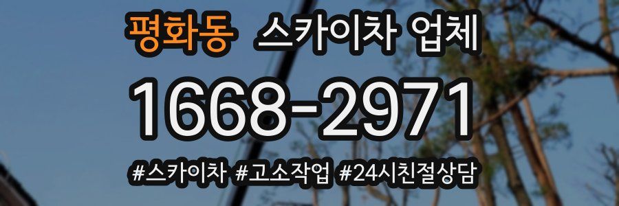 평화동 스카이차 업체