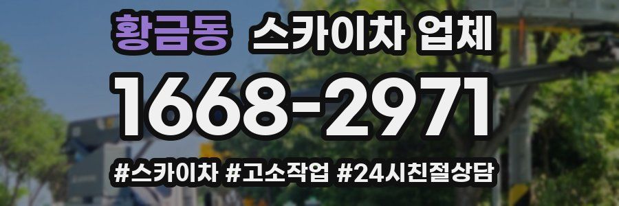 황금동 스카이차 업체