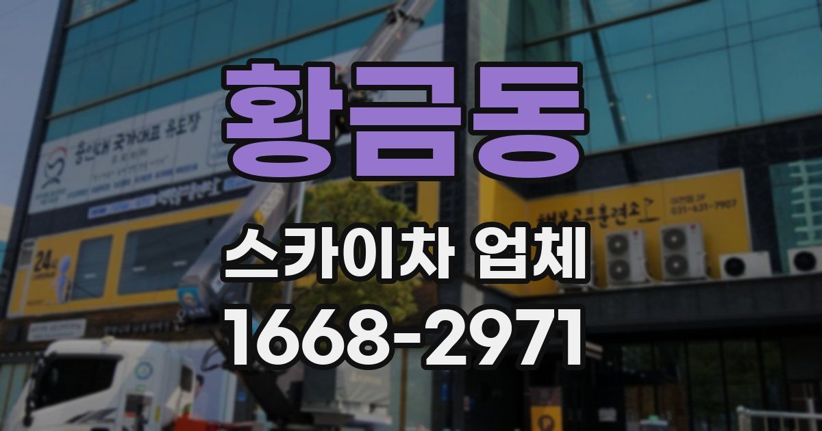 황금동 스카이차 업체