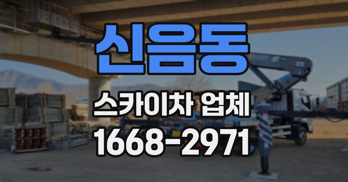 신음동 스카이차 업체