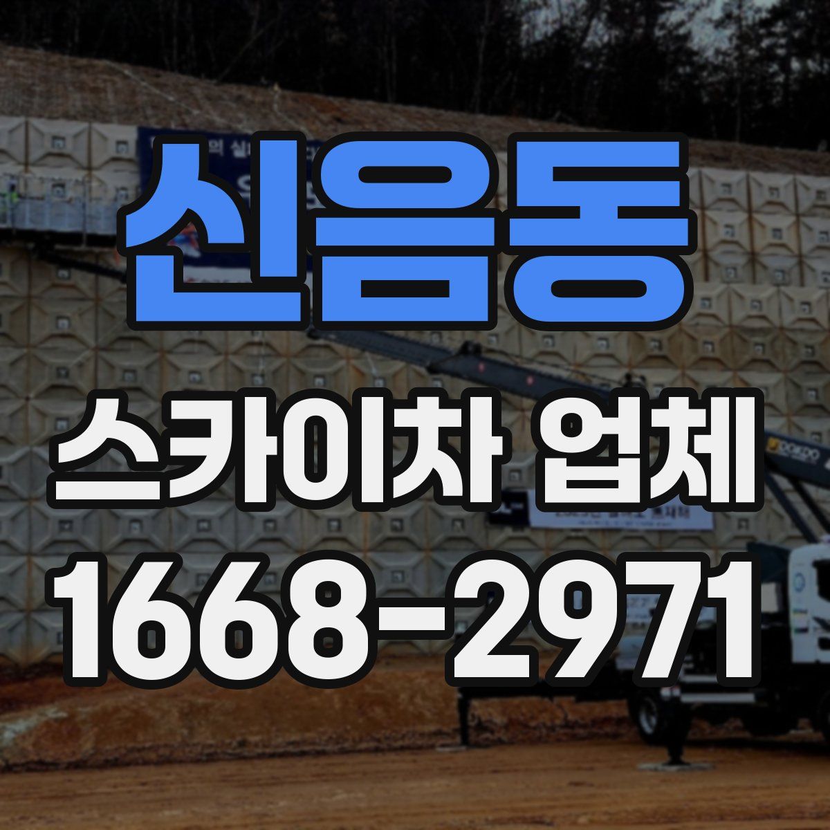 신음동 스카이차 업체