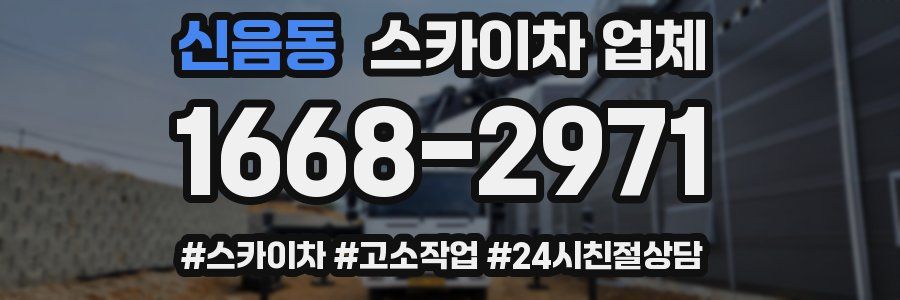 신음동 스카이차 업체