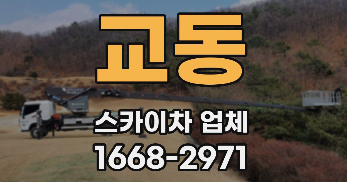 교동 스카이차 업체
