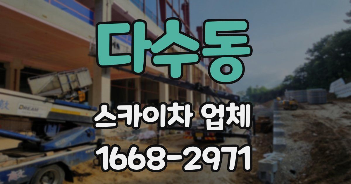 다수동 스카이차 업체