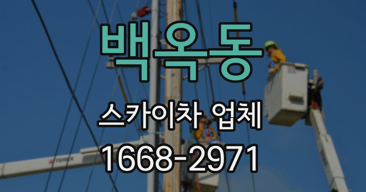 백옥동 스카이차 업체
