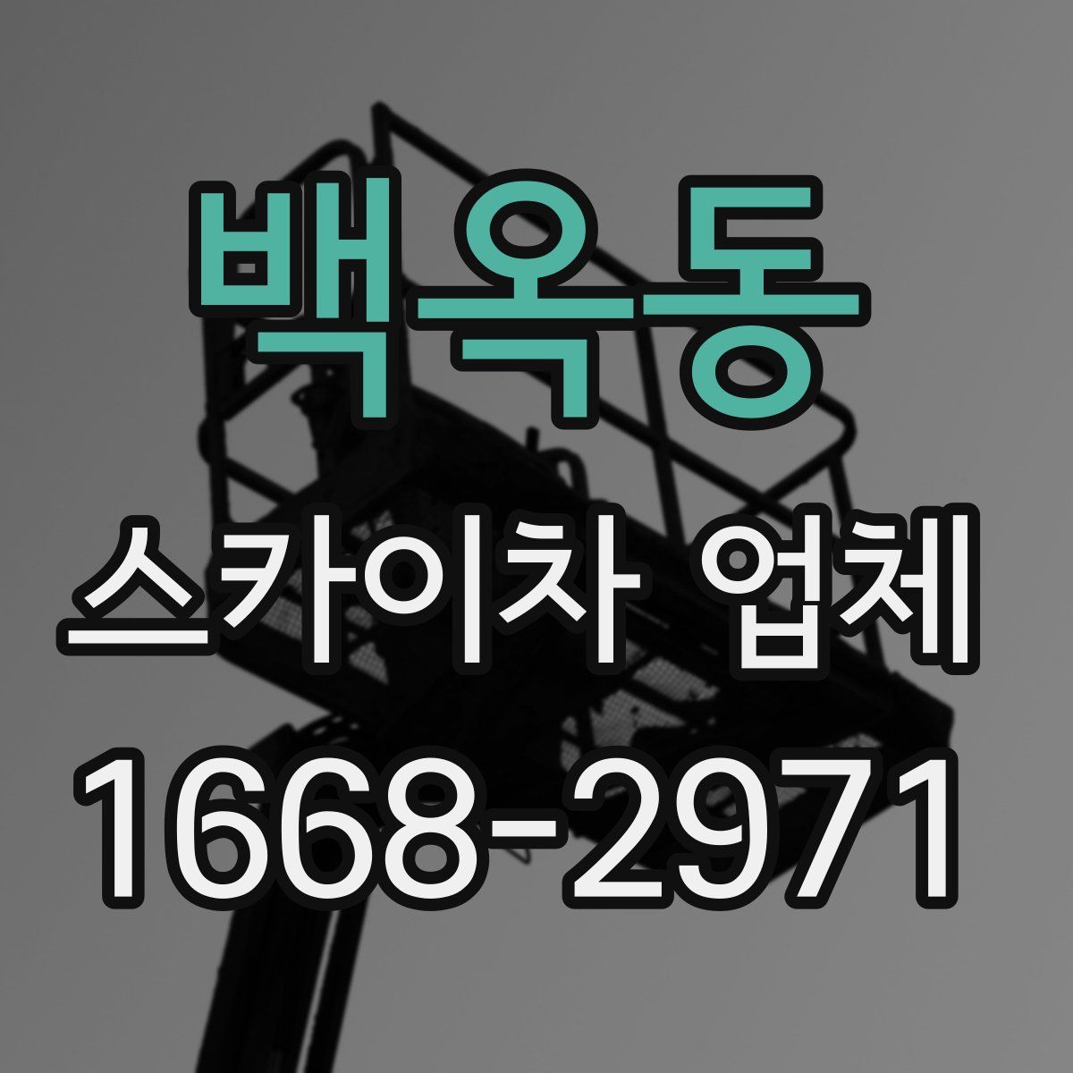 백옥동 스카이차 업체
