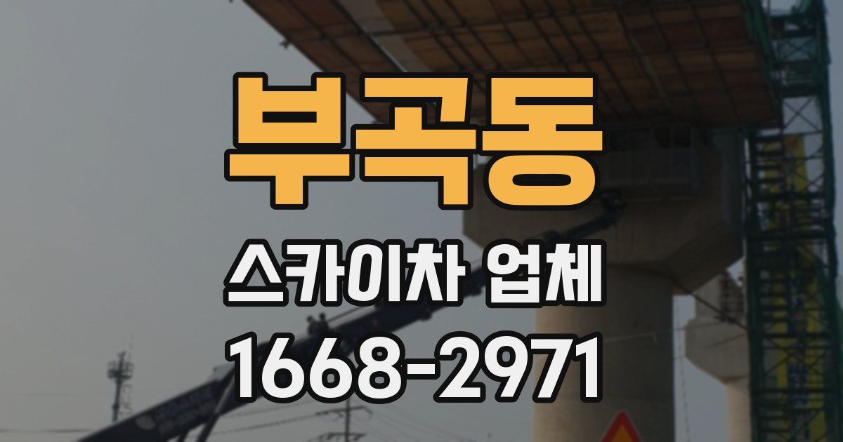 부곡동 스카이차 업체
