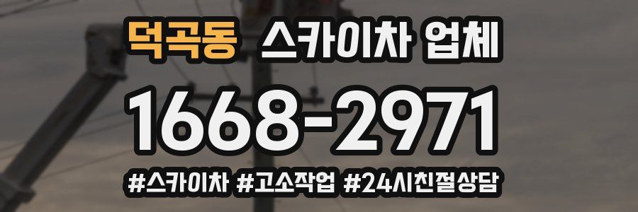 덕곡동 스카이차 업체