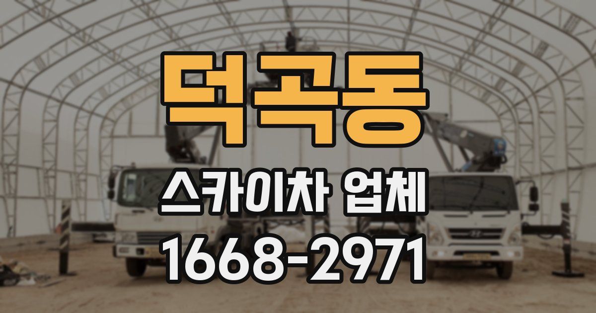 덕곡동 스카이차 업체