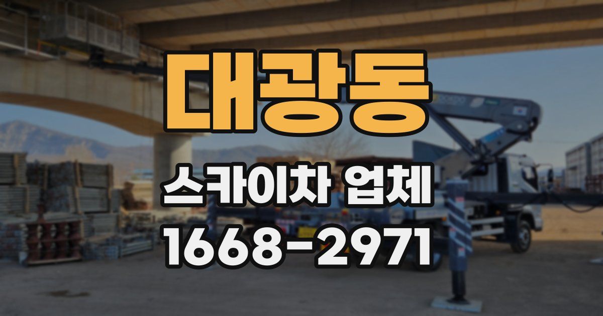대광동 스카이차 업체