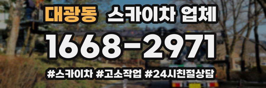 대광동 스카이차 업체