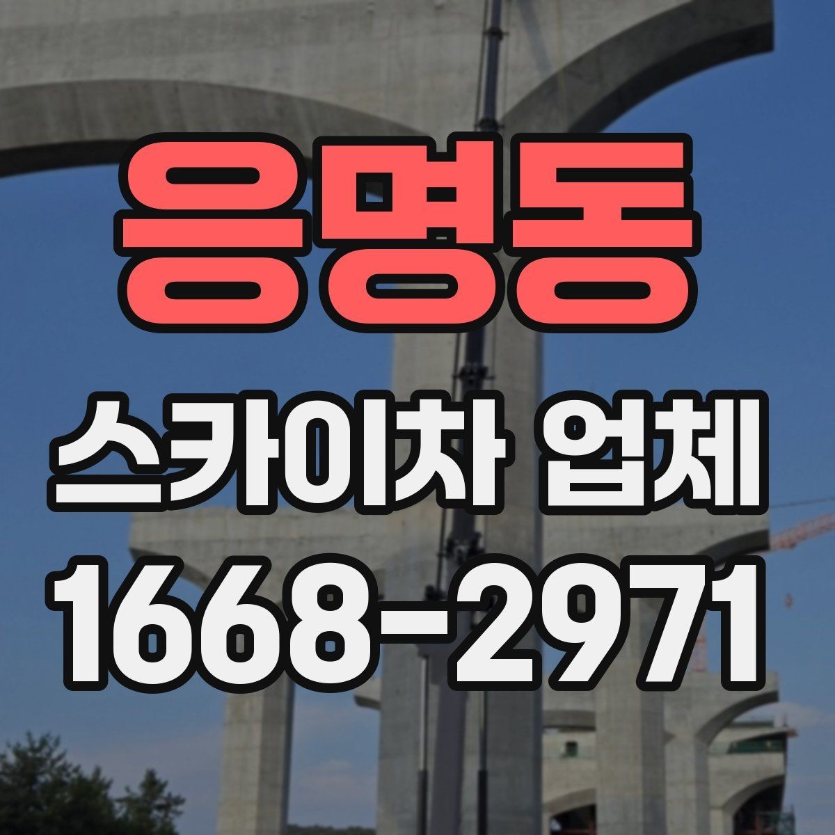 응명동 스카이차 업체 이용이 많은 건물 유형과 작업 목적