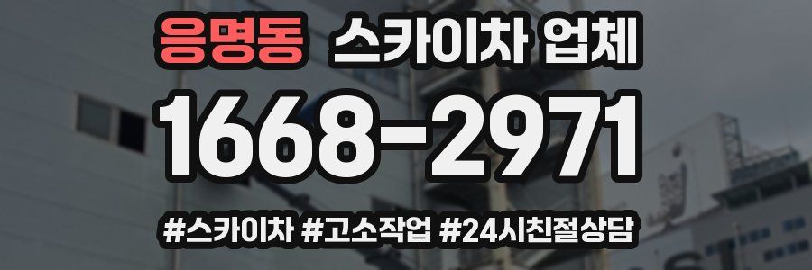 응명동 스카이차 업체