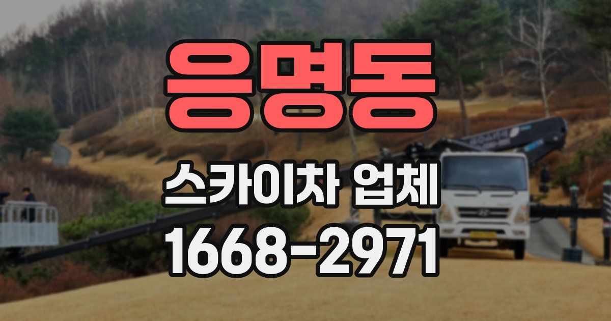 응명동 스카이차 업체