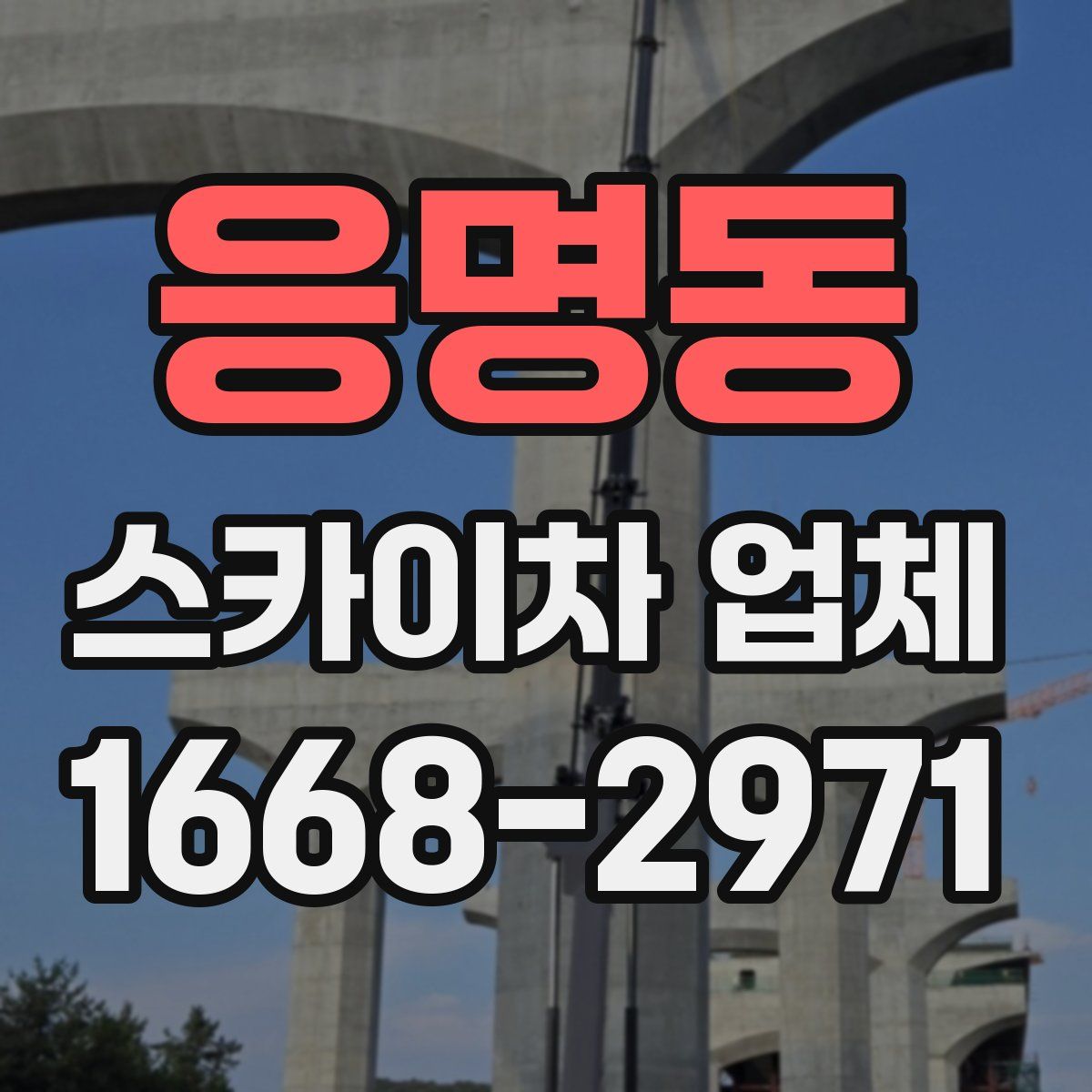 응명동 스카이차 업체