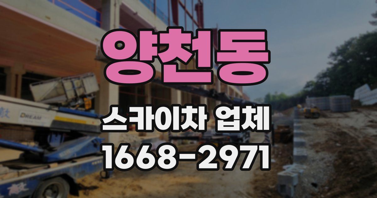 양천동 스카이차 업체
