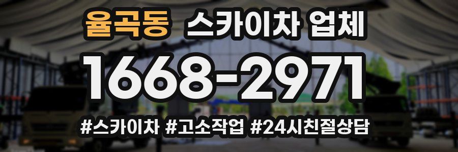 율곡동 스카이차 업체