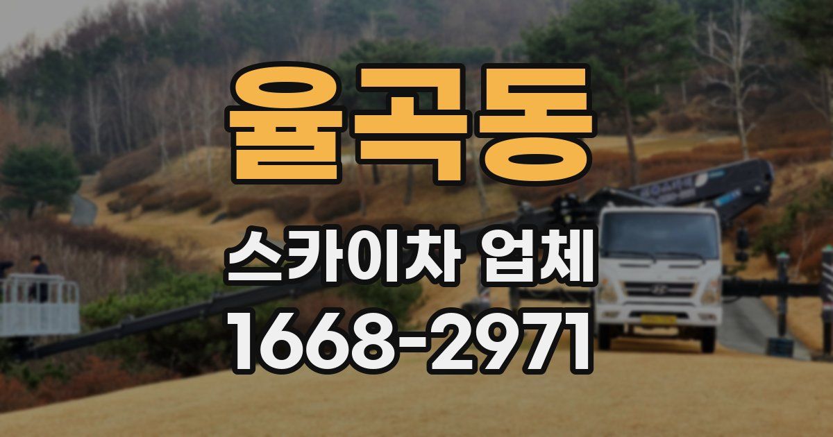 율곡동 스카이차 업체
