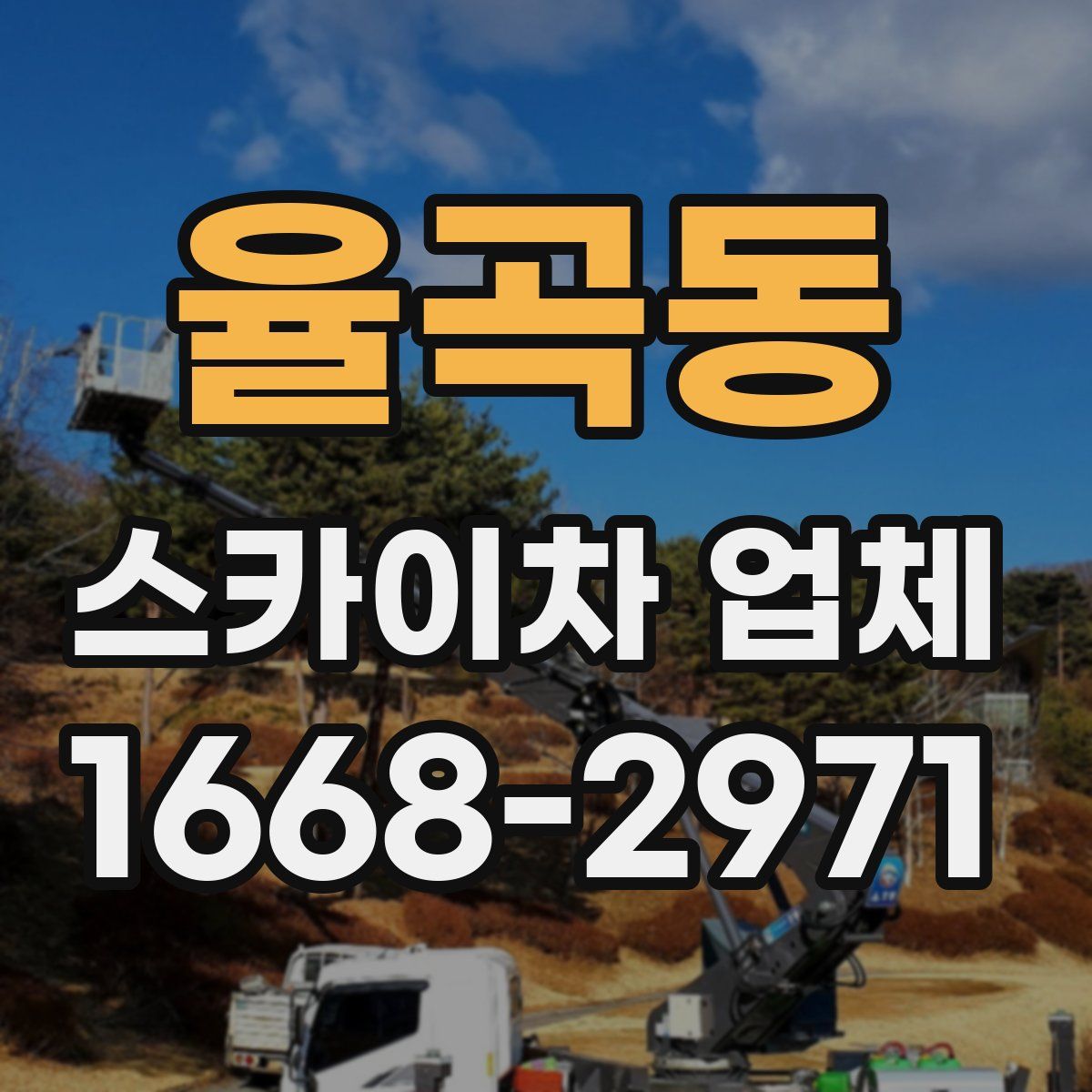 율곡동 스카이차 업체