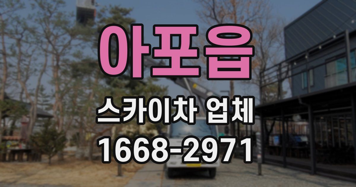 아포읍 스카이차 업체