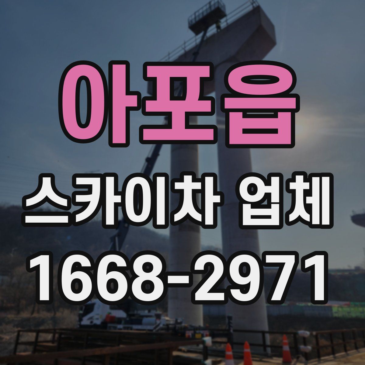아포읍 스카이차 업체