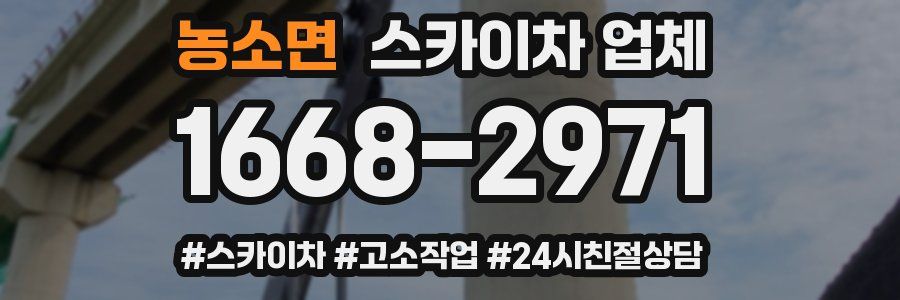 농소면 스카이차 업체