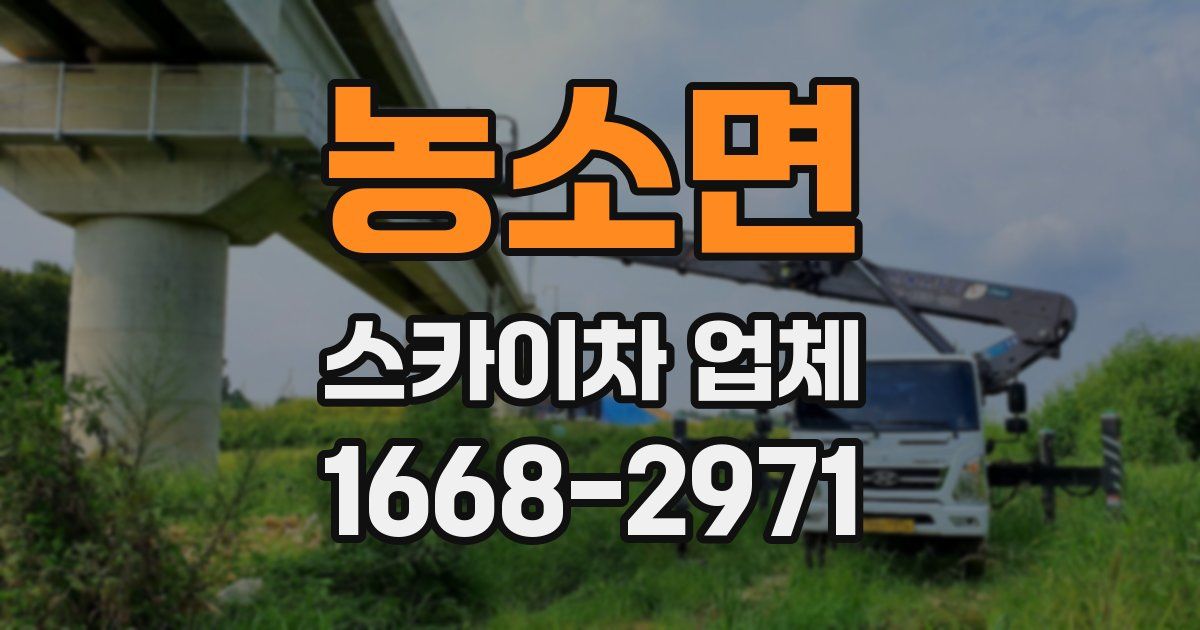 농소면 스카이차 업체