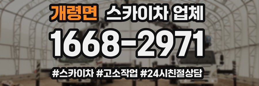 개령면 스카이차 업체