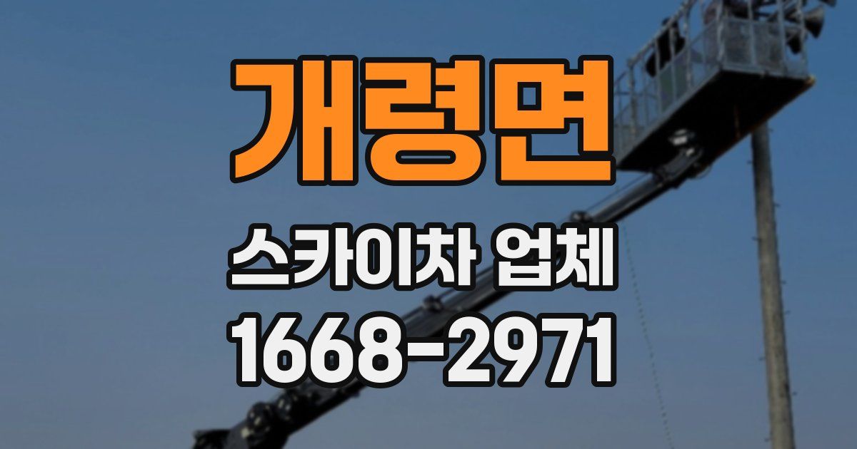 개령면 스카이차 업체