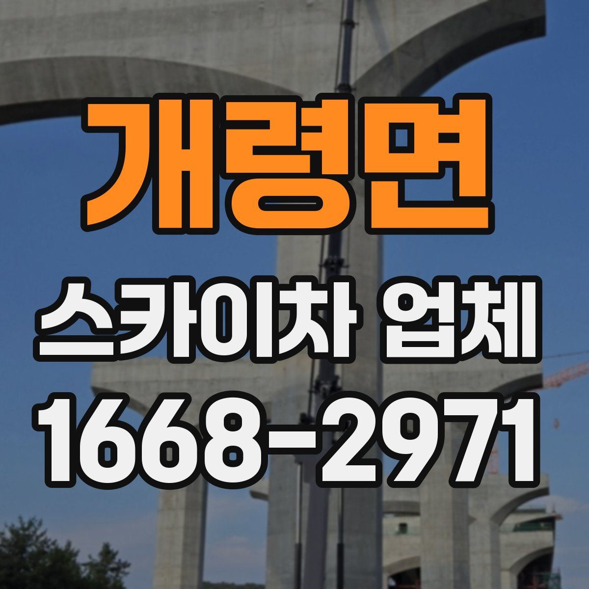 개령면 스카이차 업체