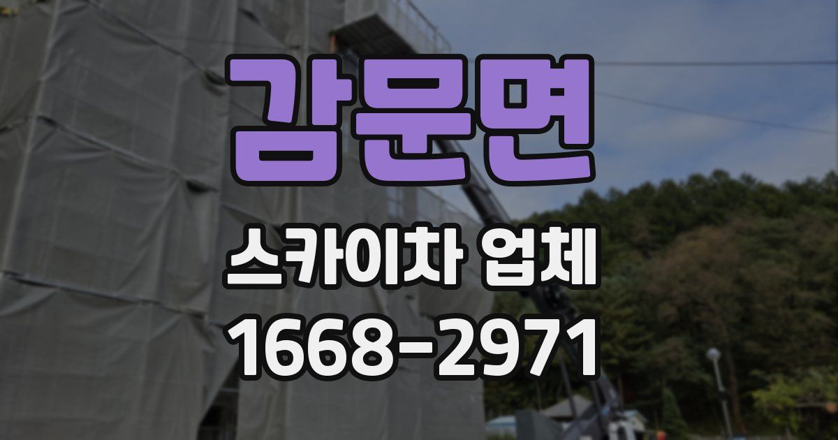 감문면 스카이차 업체