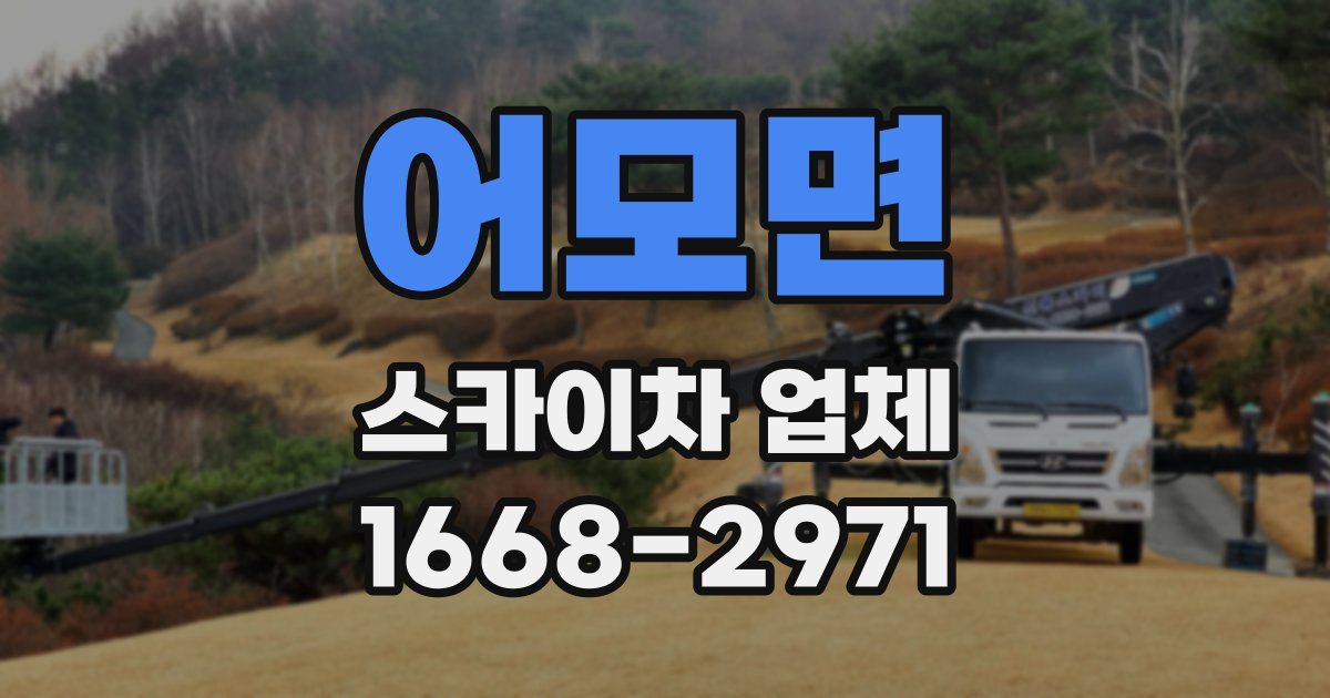 어모면 스카이차 업체