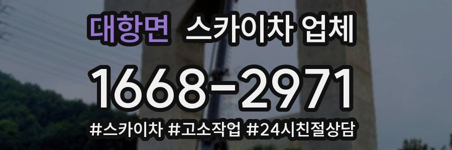 대항면 스카이차 업체