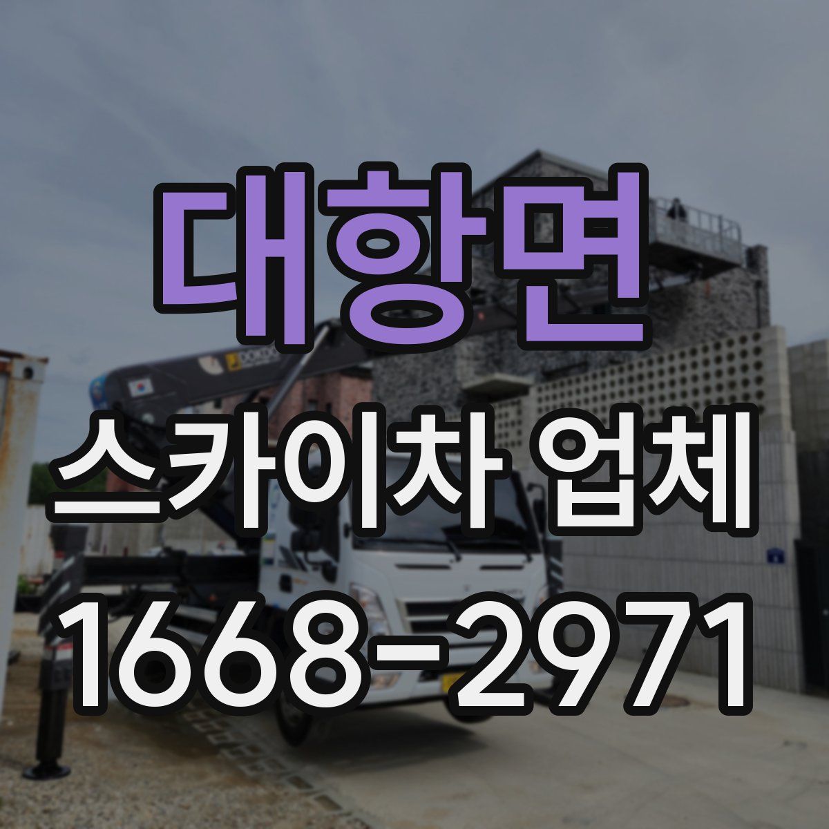 대항면 스카이차 업체