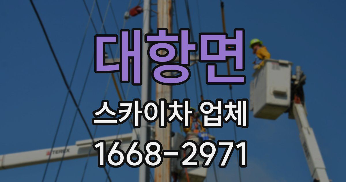 대항면 스카이차 업체