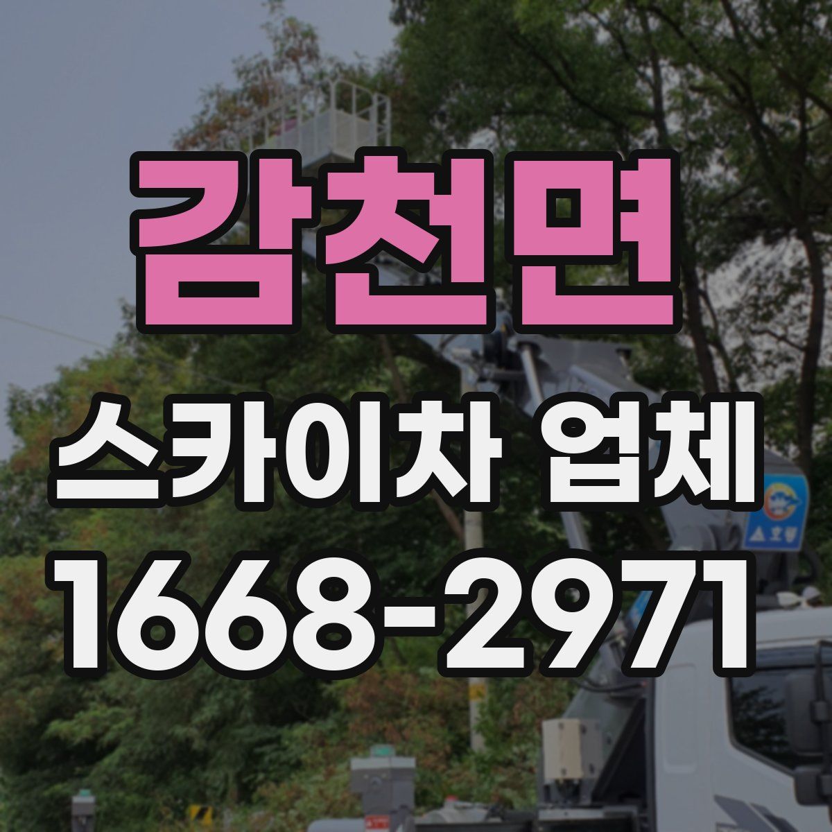 감천면 스카이차 업체