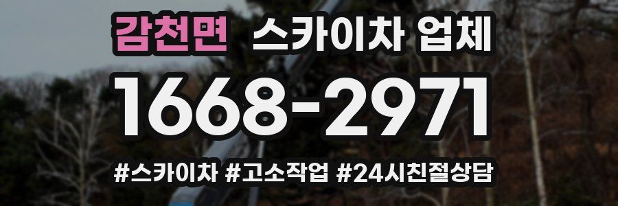 감천면 스카이차 업체