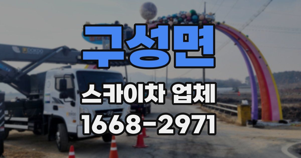 구성면 스카이차 업체